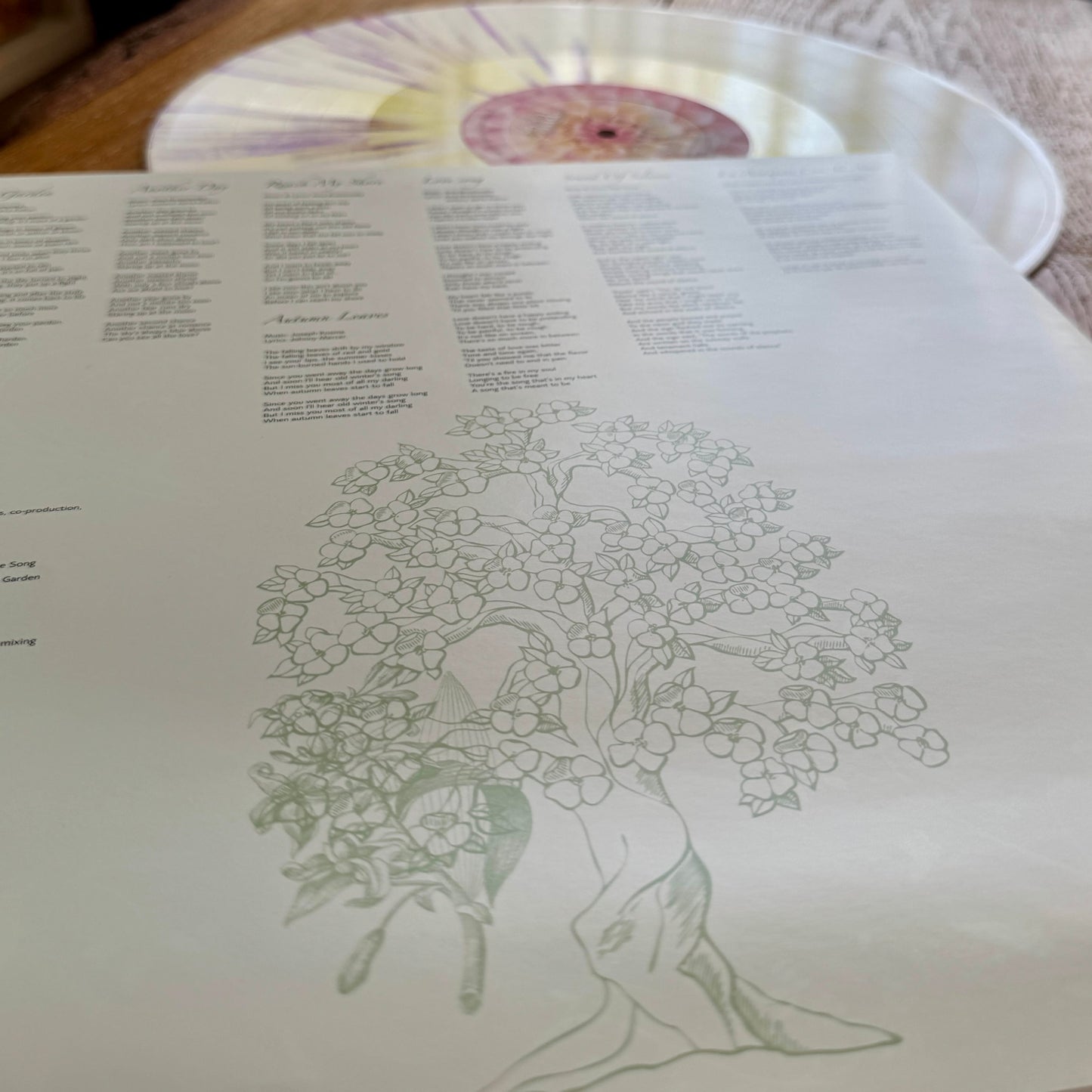 Secret Garden Vinyl